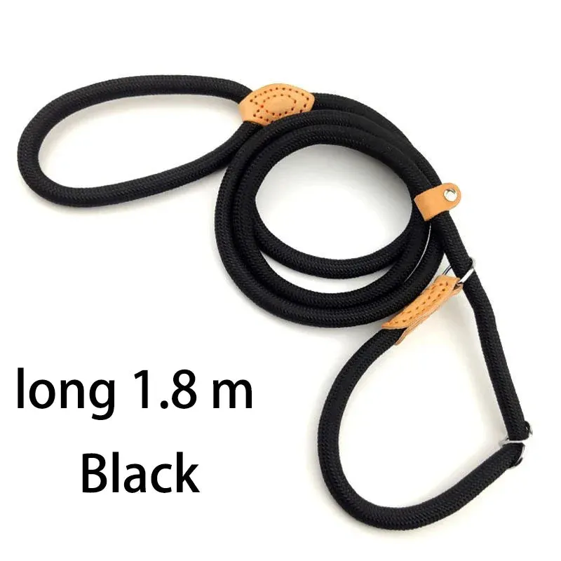 Adjustable Nylon Dog Harness and Leash Set