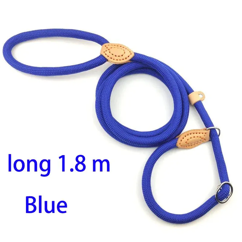 Adjustable Nylon Dog Harness and Leash Set