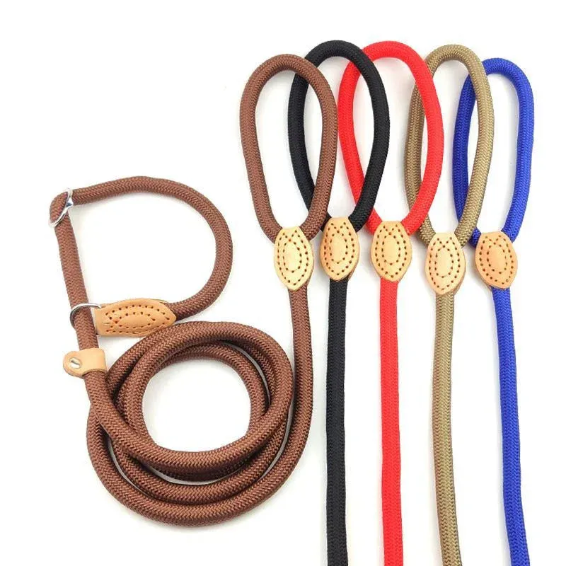 Adjustable Nylon Dog Harness and Leash Set
