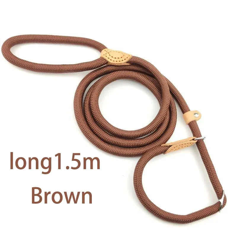 Adjustable Nylon Dog Harness and Leash Set