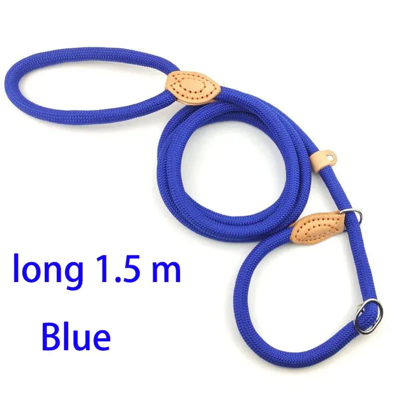 Adjustable Nylon Dog Harness and Leash Set