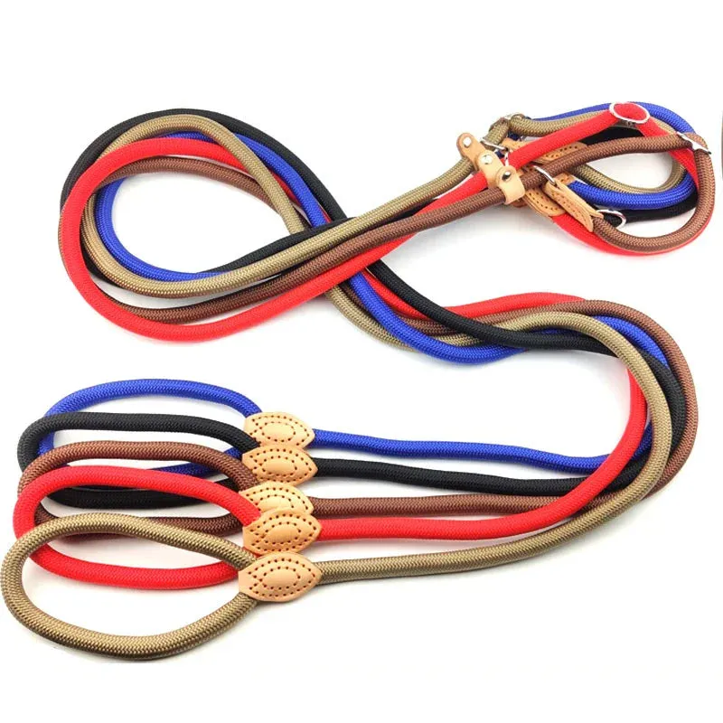 Adjustable Nylon Dog Harness and Leash Set