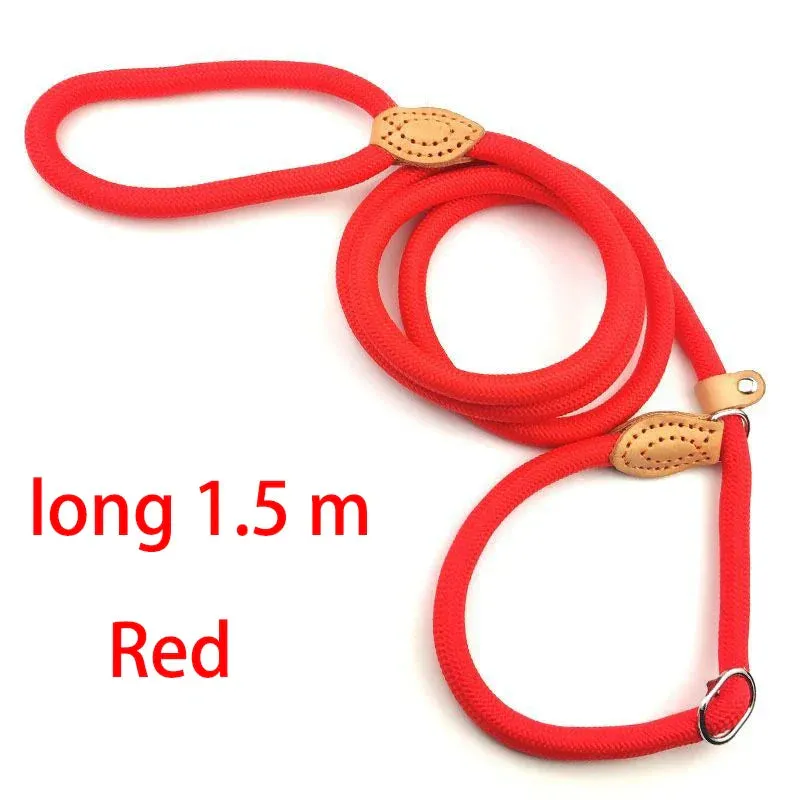 Adjustable Nylon Dog Harness and Leash Set
