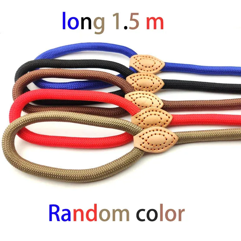 Adjustable Nylon Dog Harness and Leash Set