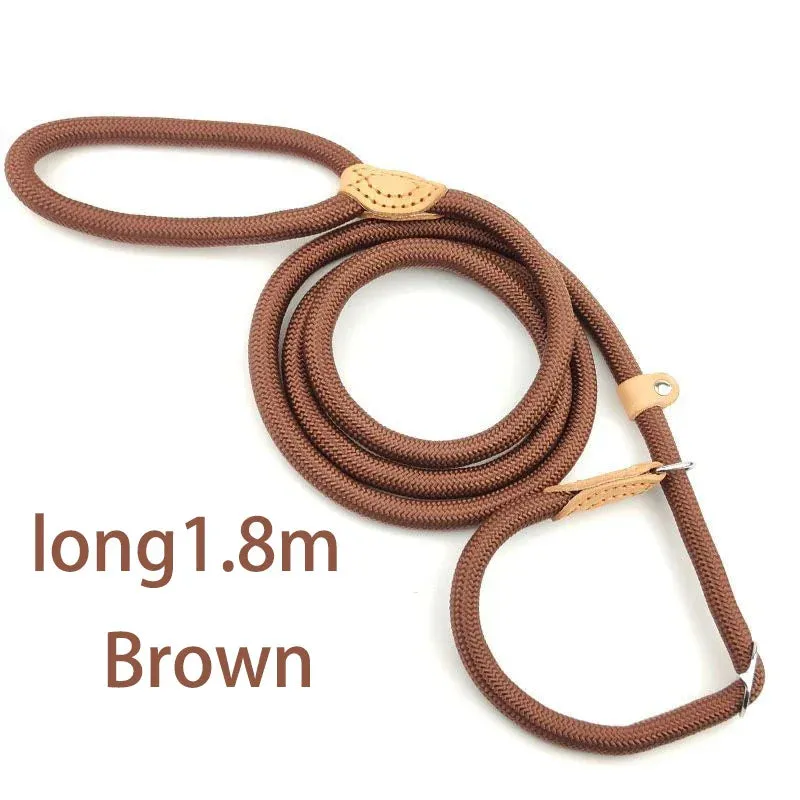 Adjustable Nylon Dog Harness and Leash Set