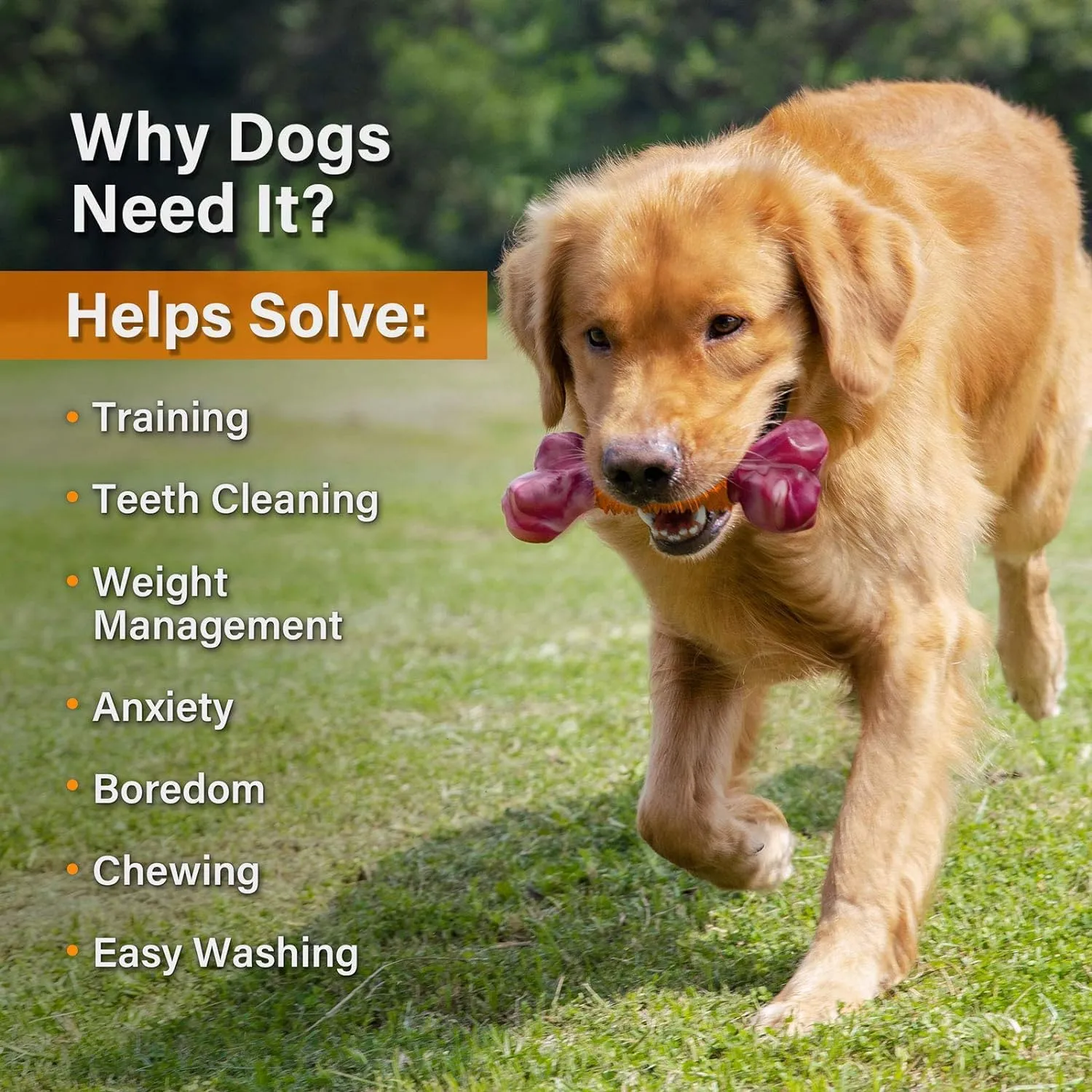 Apasiri Tough Dog Toys for Aggressive Chewers, Dogs Chew Toys for Medium/Large Breed, Nylon and Rubber Dog-Bones for Teething Chew, Peanut Butter Flavor