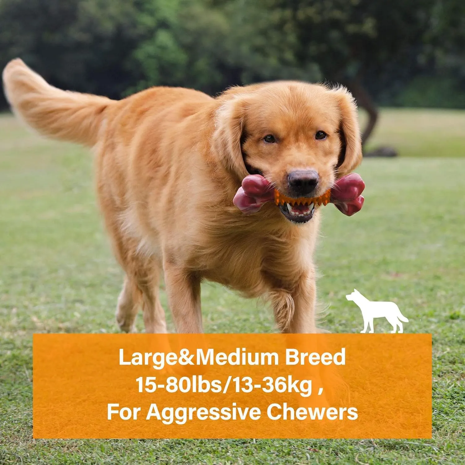 Apasiri Tough Dog Toys for Aggressive Chewers, Dogs Chew Toys for Medium/Large Breed, Nylon and Rubber Dog-Bones for Teething Chew, Peanut Butter Flavor