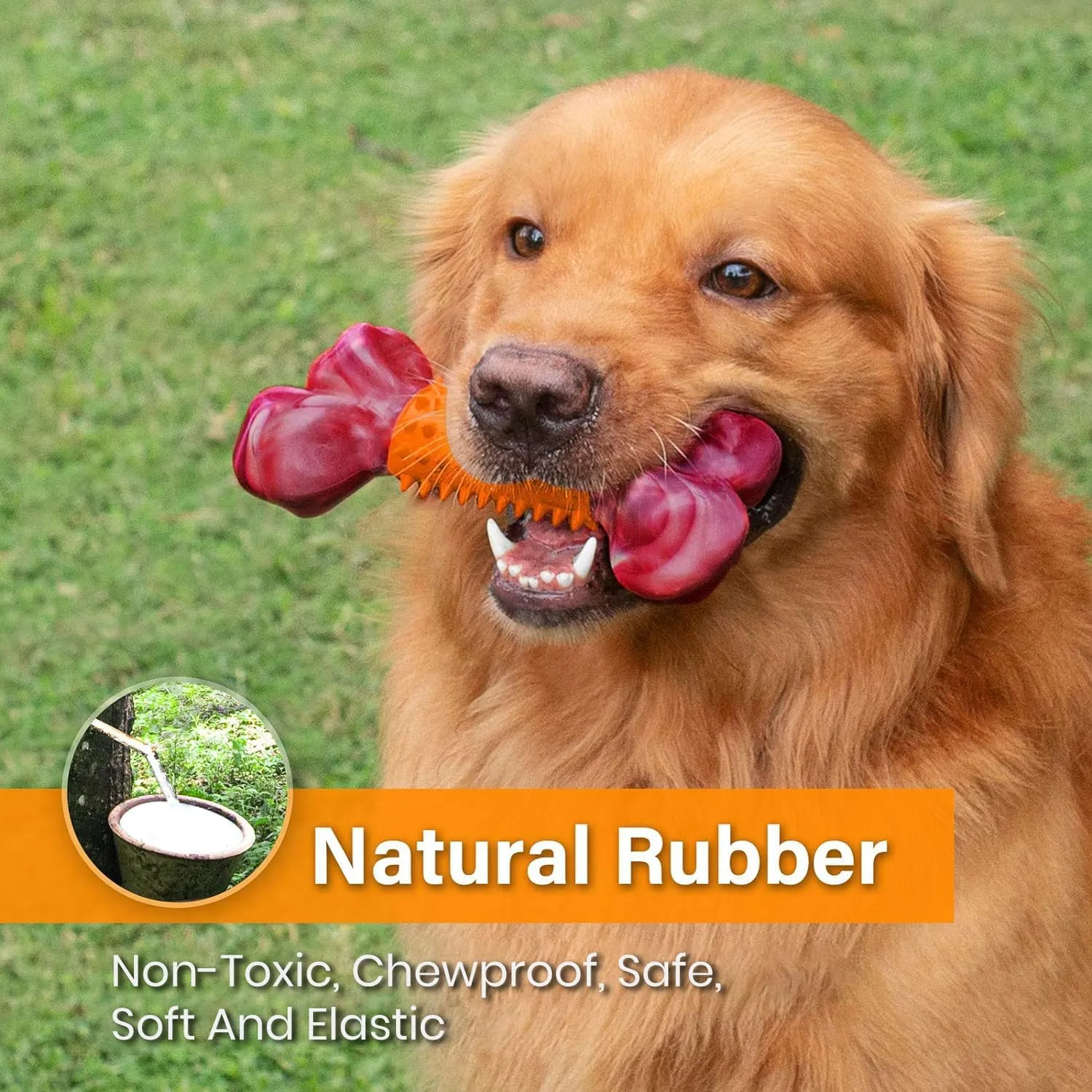 Apasiri Tough Dog Toys for Aggressive Chewers, Dogs Chew Toys for Medium/Large Breed, Nylon and Rubber Dog-Bones for Teething Chew, Peanut Butter Flavor