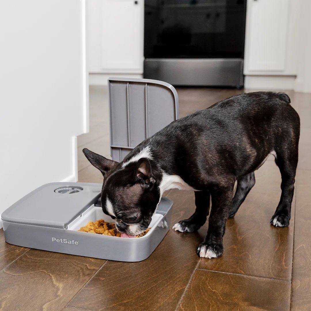 Automatic 2 Meal Pet Feeder