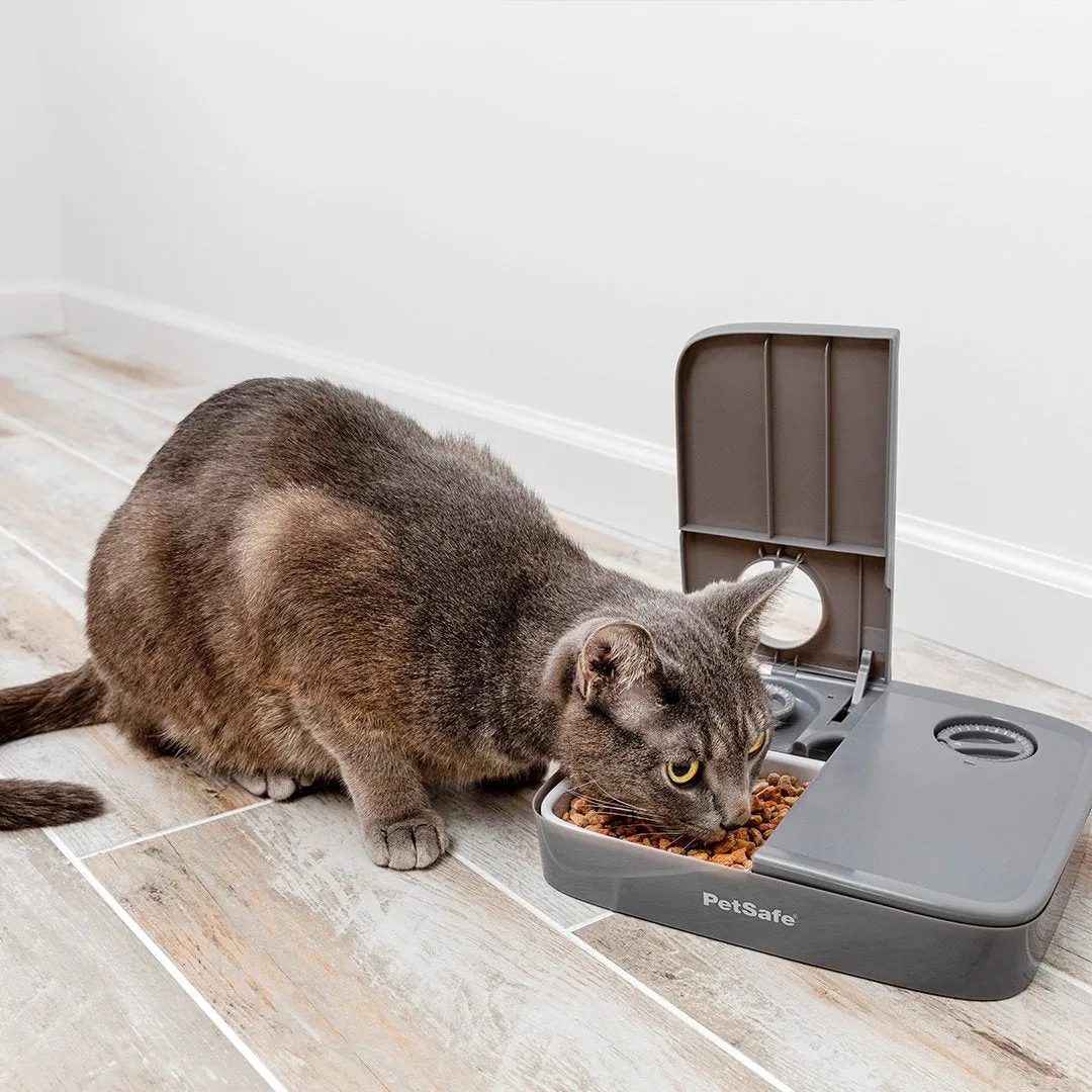 Automatic 2 Meal Pet Feeder