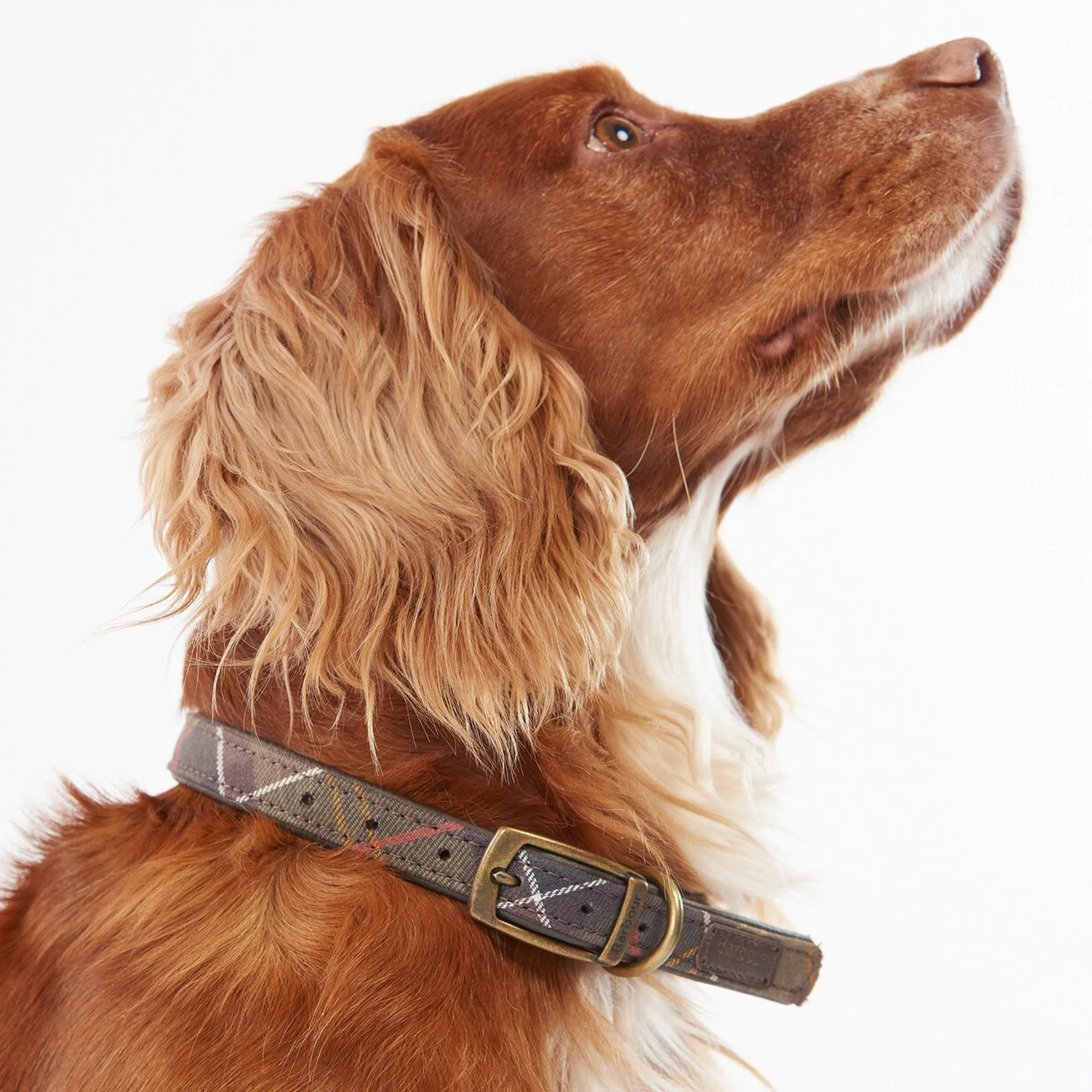 Barbour Tartan Dog Collar