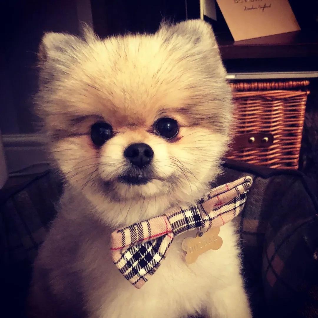 Barkberry Plaid Tartan Bow Tie Detachable Dog Collar Accessory