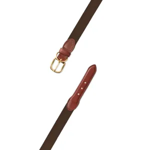 Brown Surcingle Dog Collar