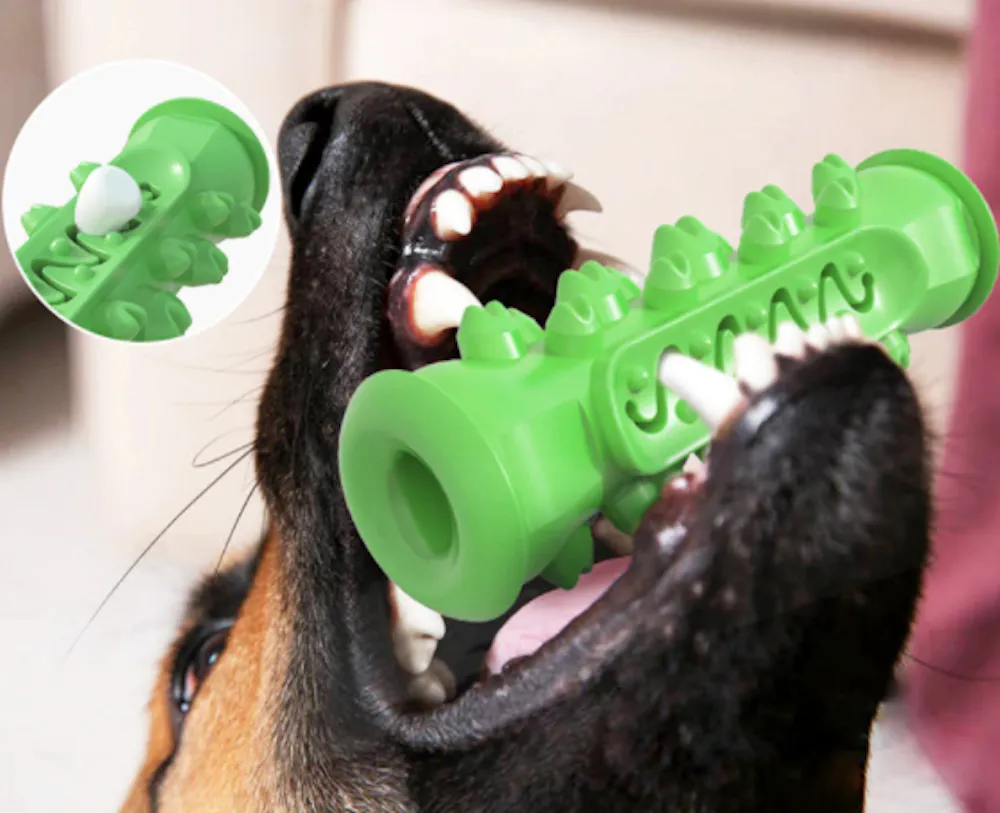 Chewing Toy for Dogs