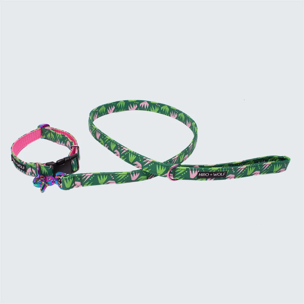 Combs Adjustable Dog Collar