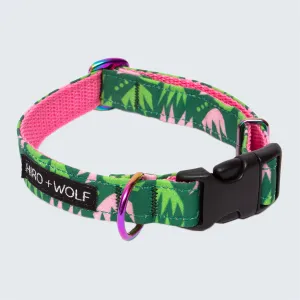 Combs Adjustable Dog Collar