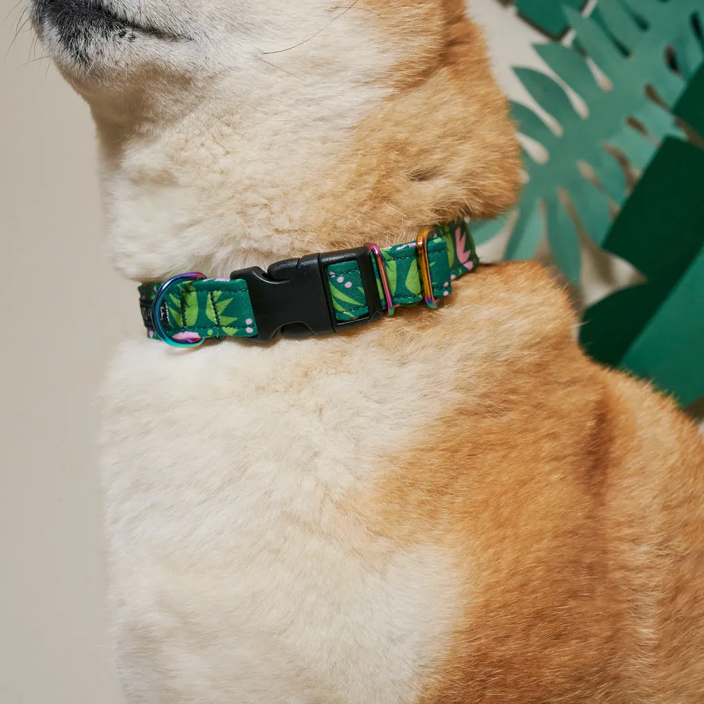 Combs Adjustable Dog Collar