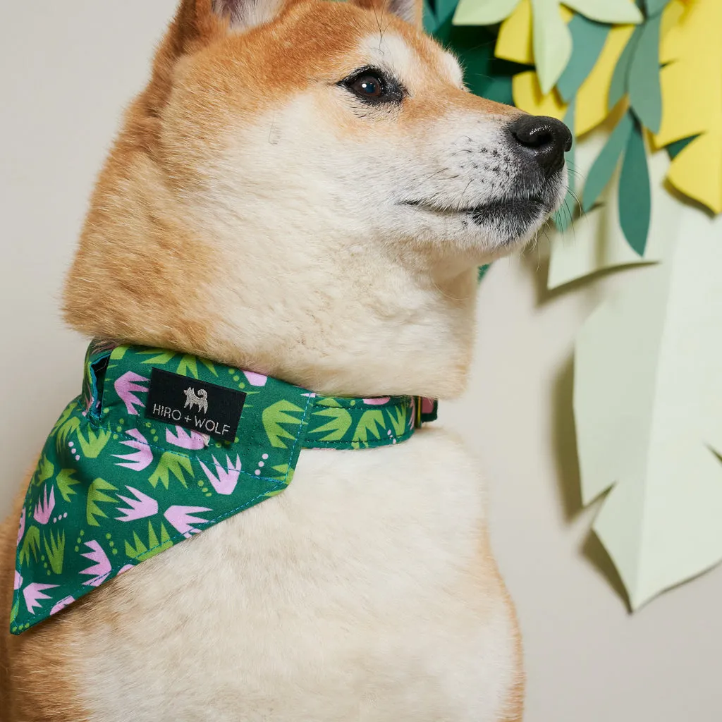 Combs Adjustable Dog Collar