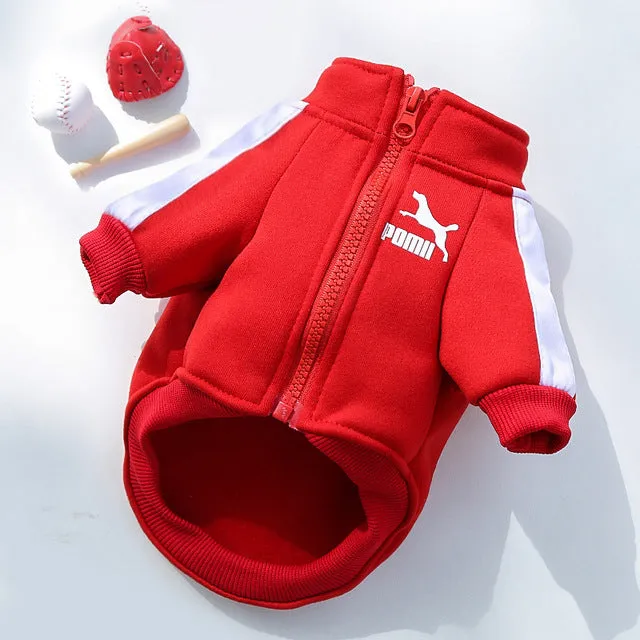 Designer Winter Dog Sweatshirt - Stylish Fleece, Zipper Closure, Warm and Cozy