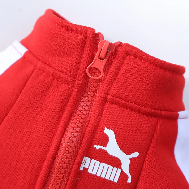 Designer Winter Dog Sweatshirt - Stylish Fleece, Zipper Closure, Warm and Cozy