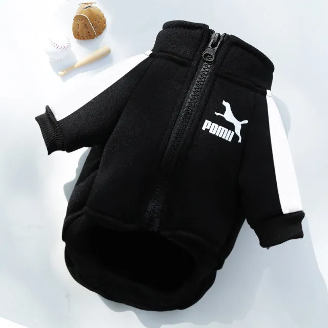 Designer Winter Dog Sweatshirt - Stylish Fleece, Zipper Closure, Warm and Cozy