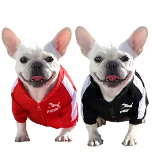 Designer Winter Dog Sweatshirt - Stylish Fleece, Zipper Closure, Warm and Cozy