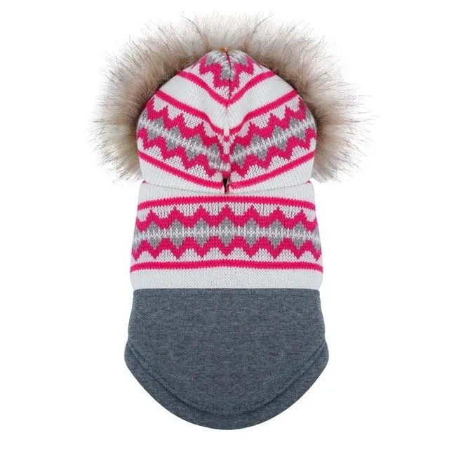 Dog Sweater with Hood
