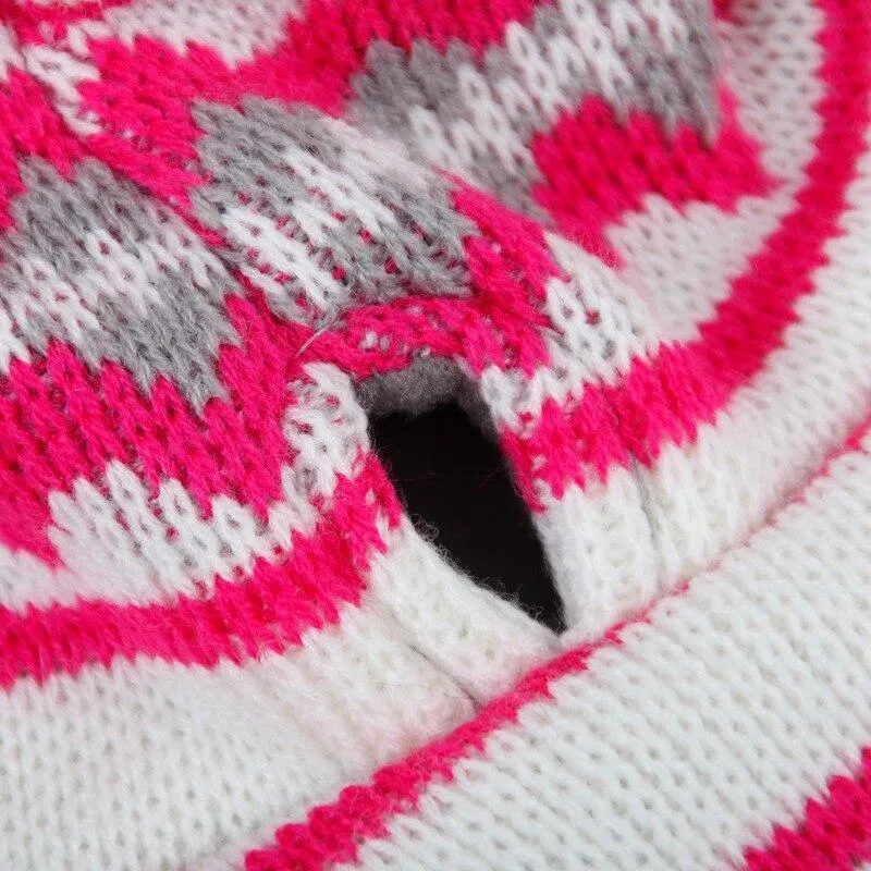 Dog Sweater with Hood
