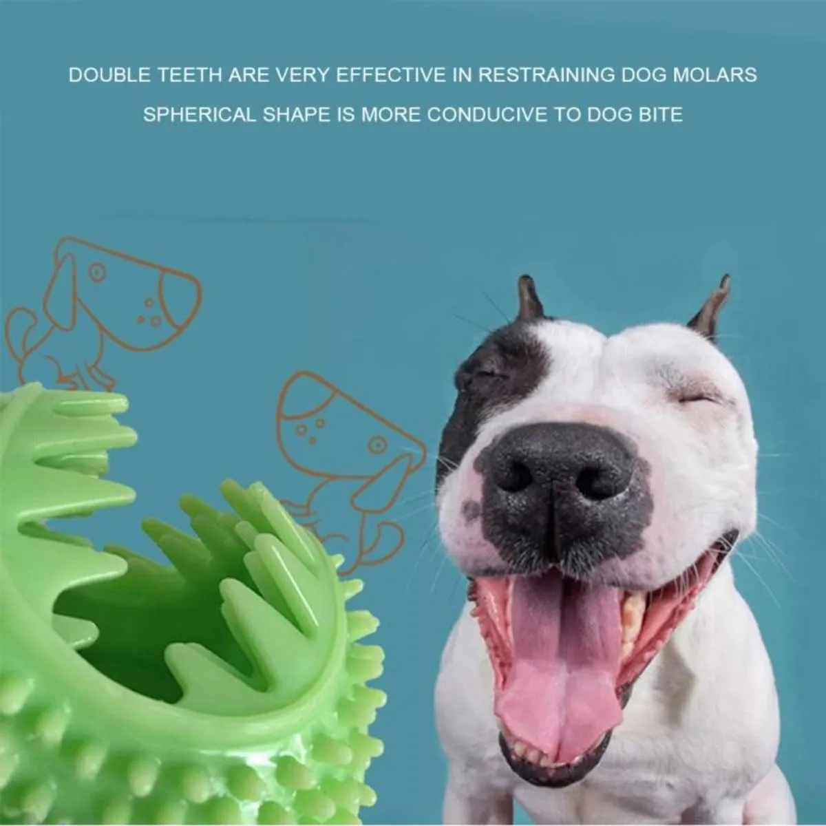 Dogs Chewing Toy with Suction Cup