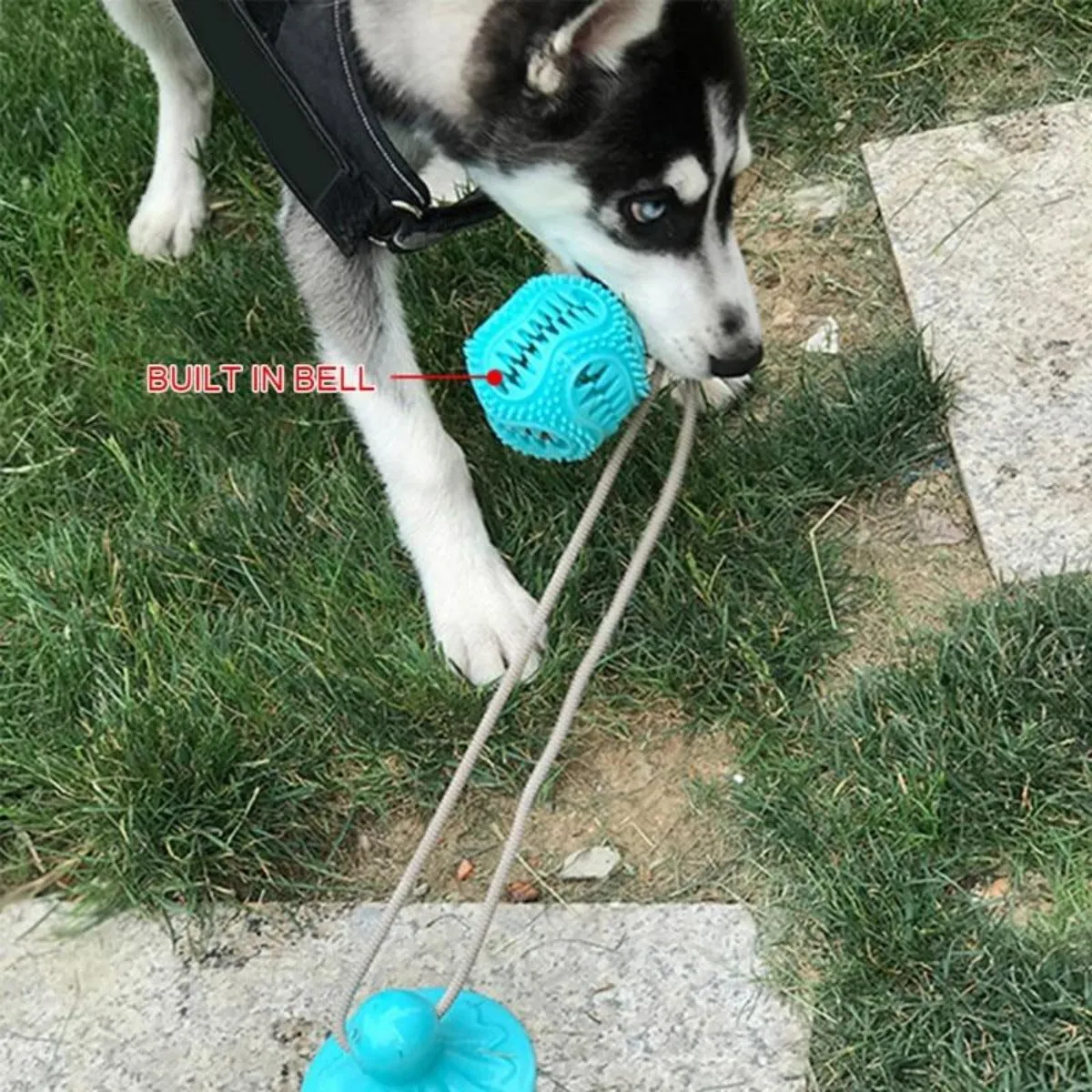 Dogs Chewing Toy with Suction Cup