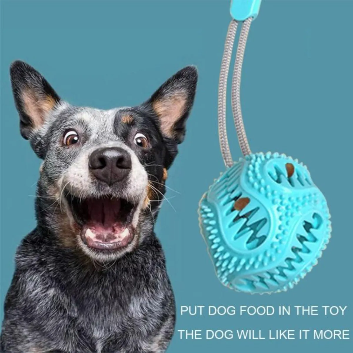 Dogs Chewing Toy with Suction Cup