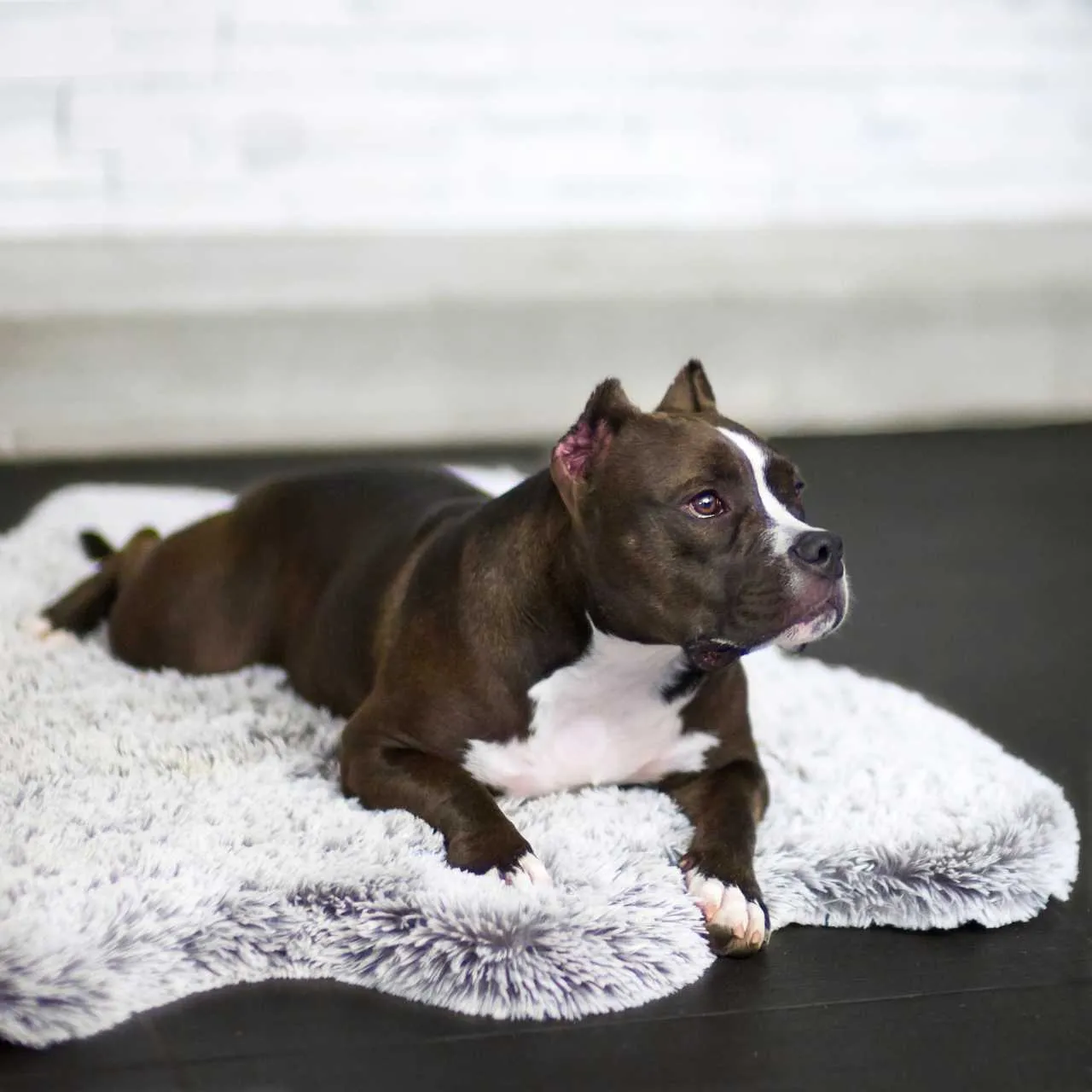 Faux Fur Ortho Snug Rug™Companion-Pedic® Luxury Dog Bed