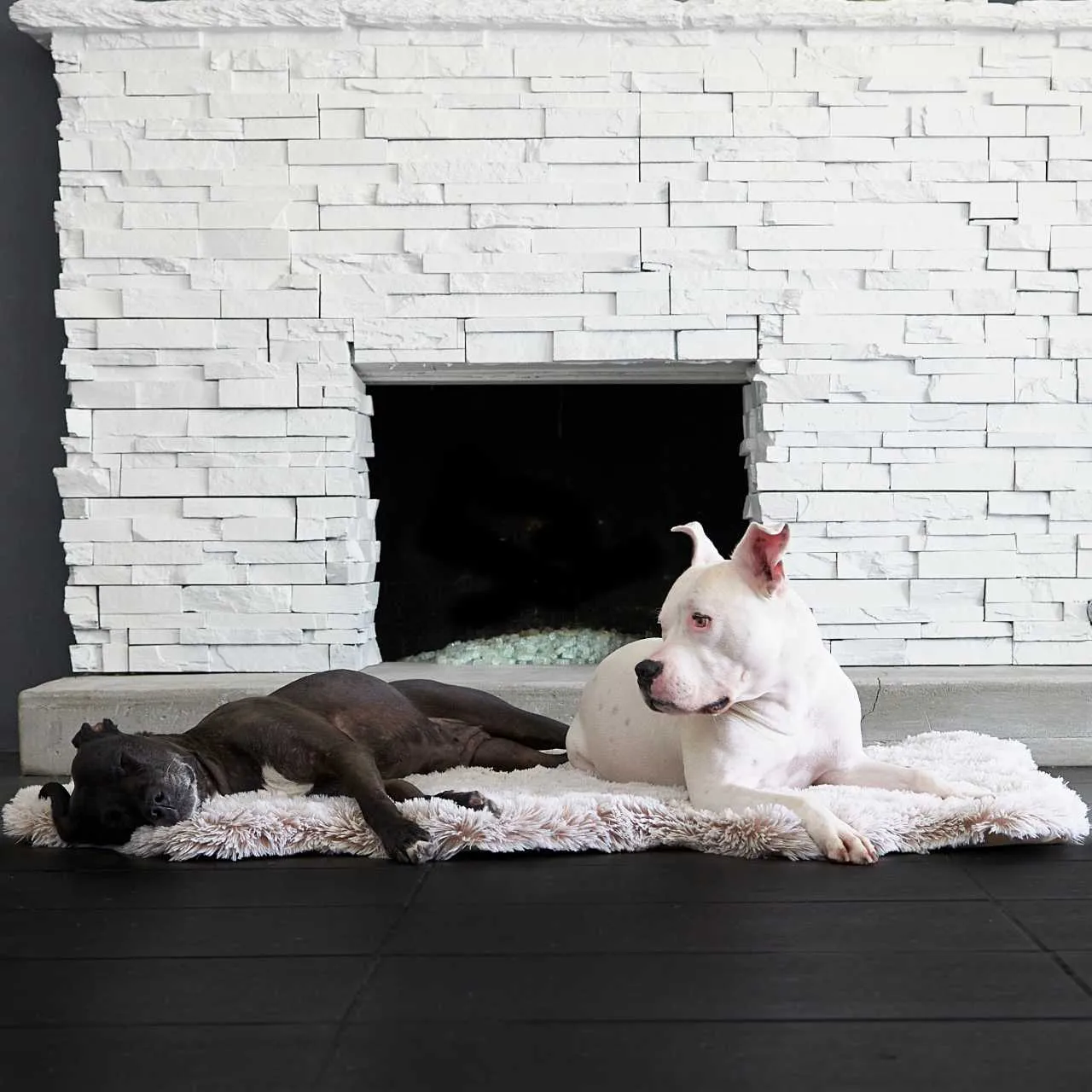 Faux Fur Ortho Snug Rug™Companion-Pedic® Luxury Dog Bed