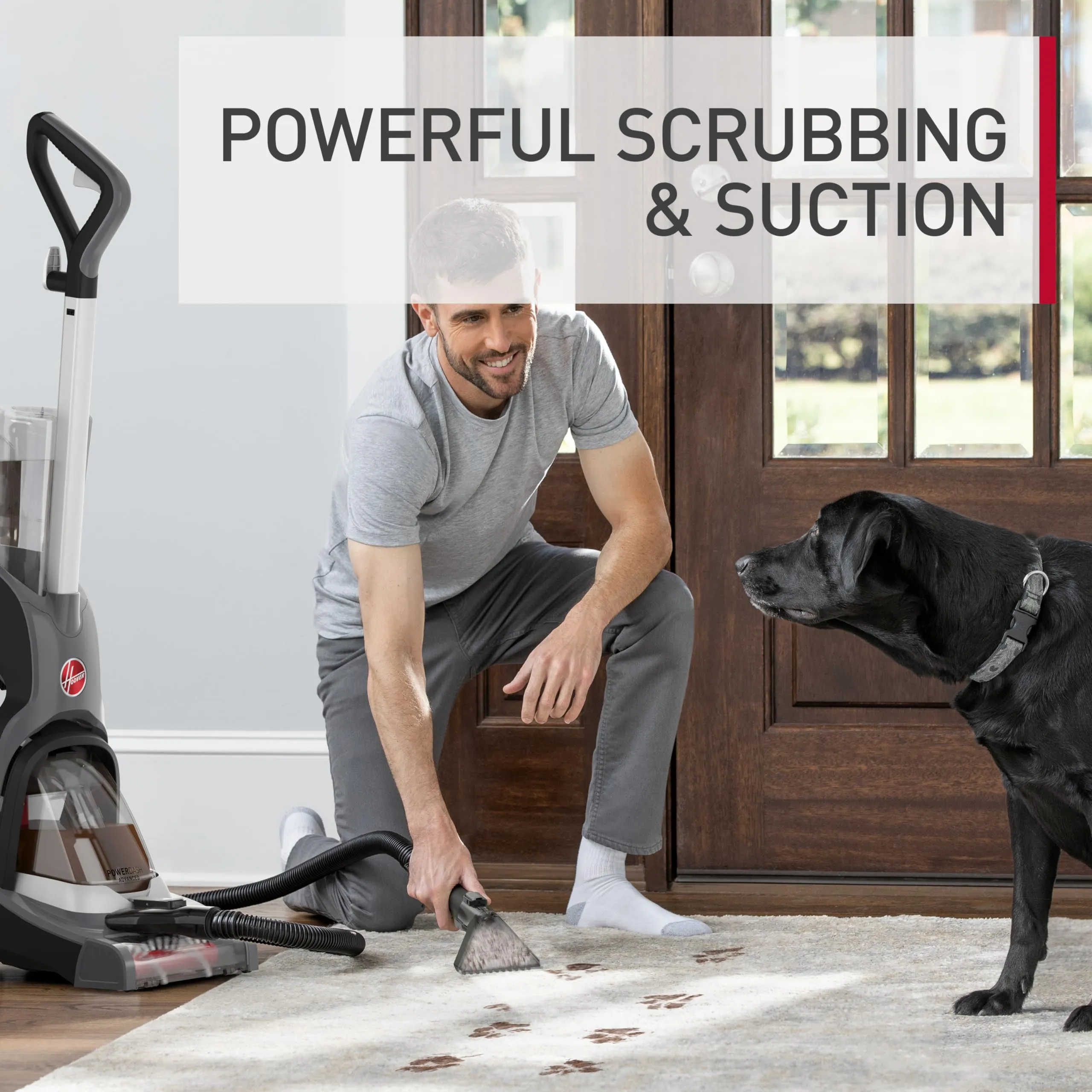 Hoover PowerDash Pet Compact Carpet Cleaner, Lightweight, Above Floor Cleaning