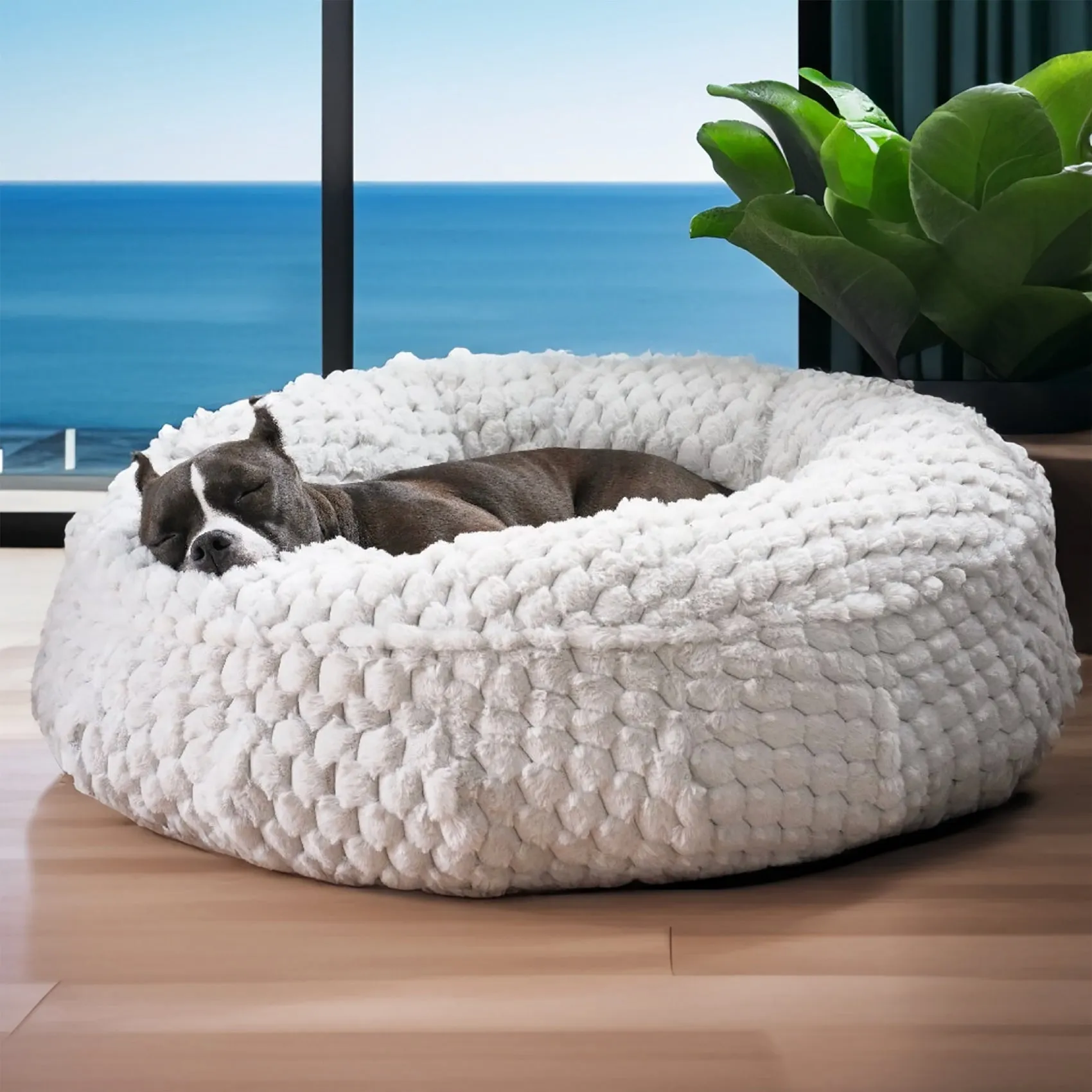 Katie Puff® Ortho Companion-Pedic® Luxury Dog Bed