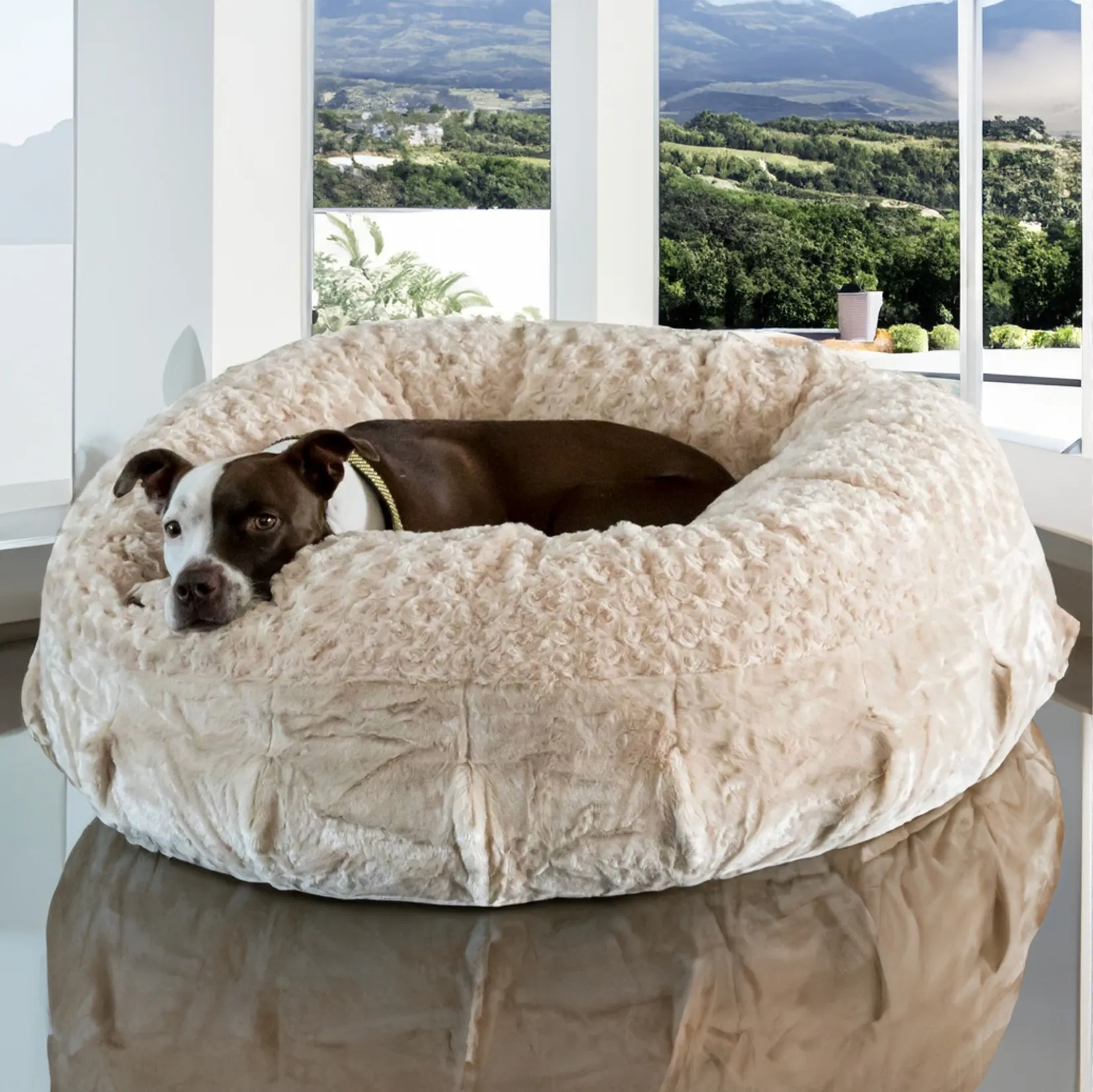 Katie Puff® Ortho Companion-Pedic® Luxury Dog Bed
