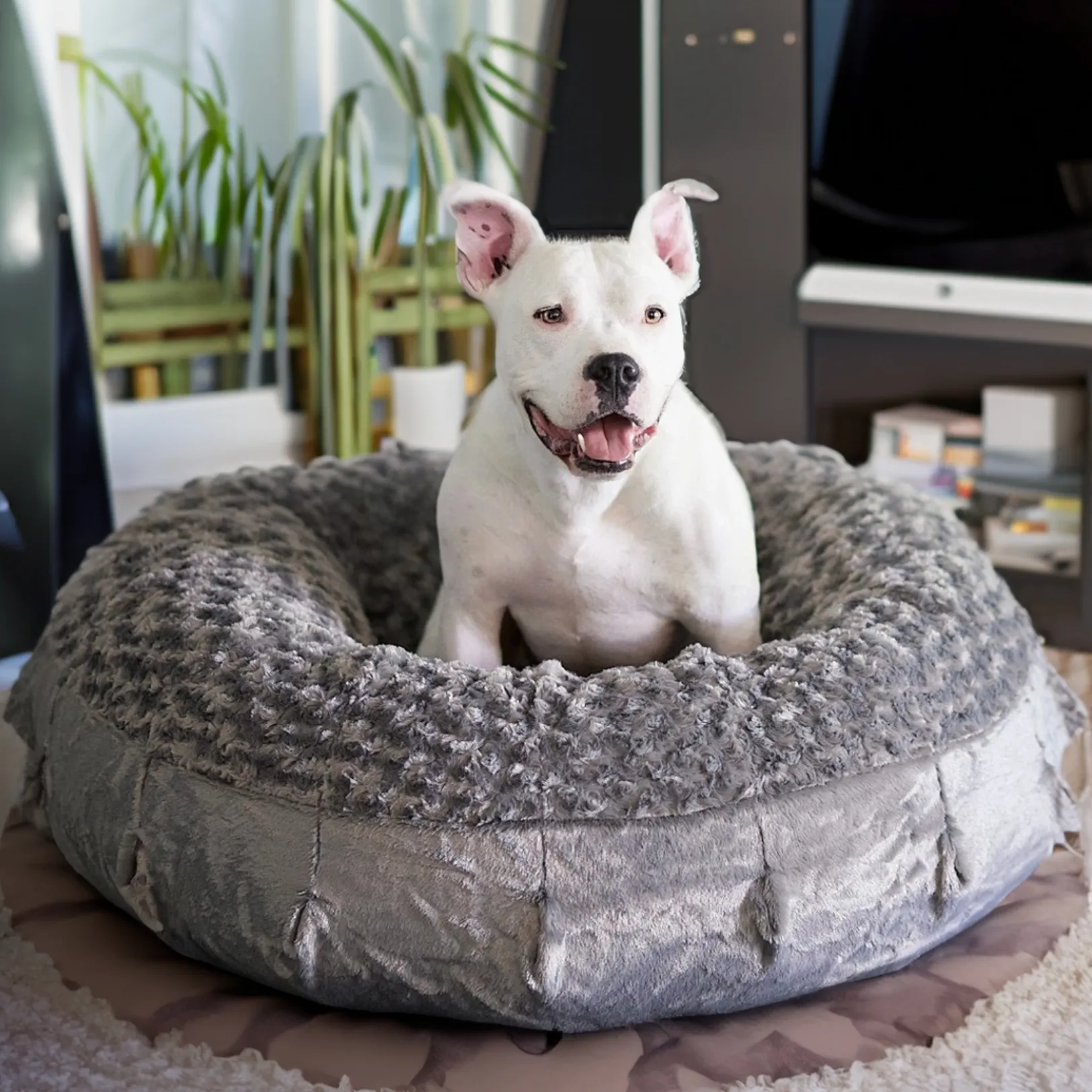 Katie Puff® Ortho Companion-Pedic® Luxury Dog Bed