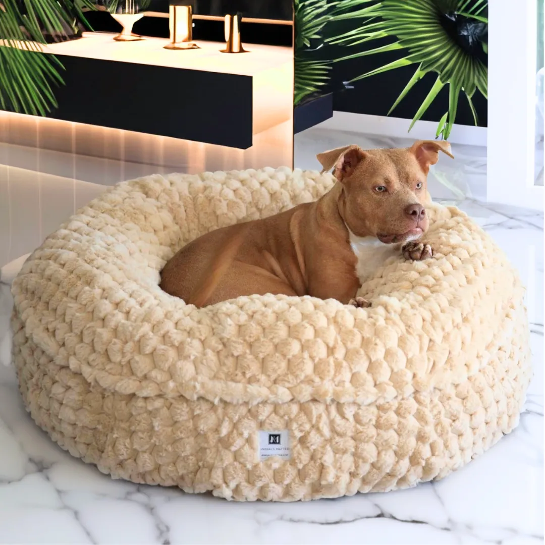 Katie Puff® Ortho Companion-Pedic® Luxury Dog Bed