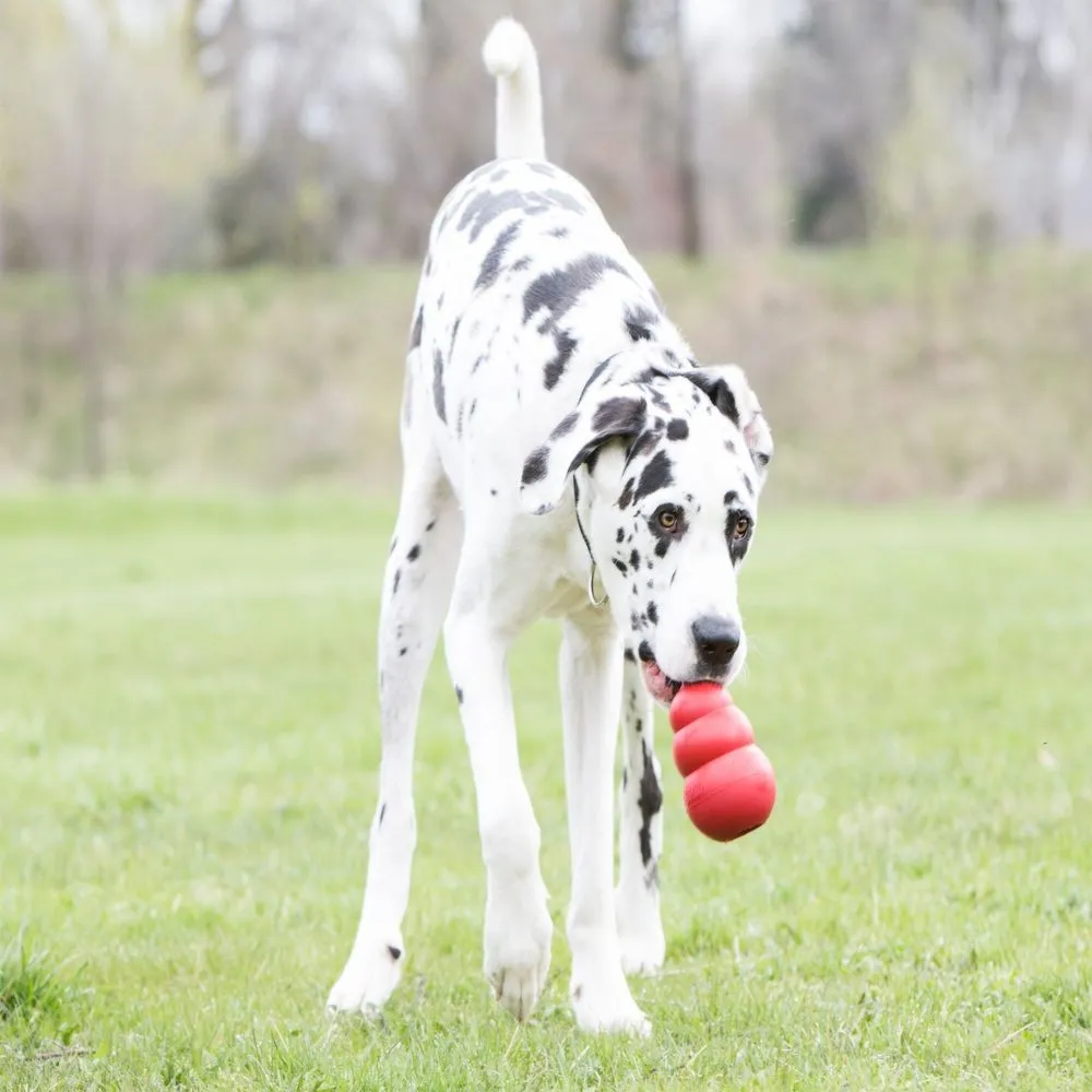 KONG Classic Red Dog Toy XXL