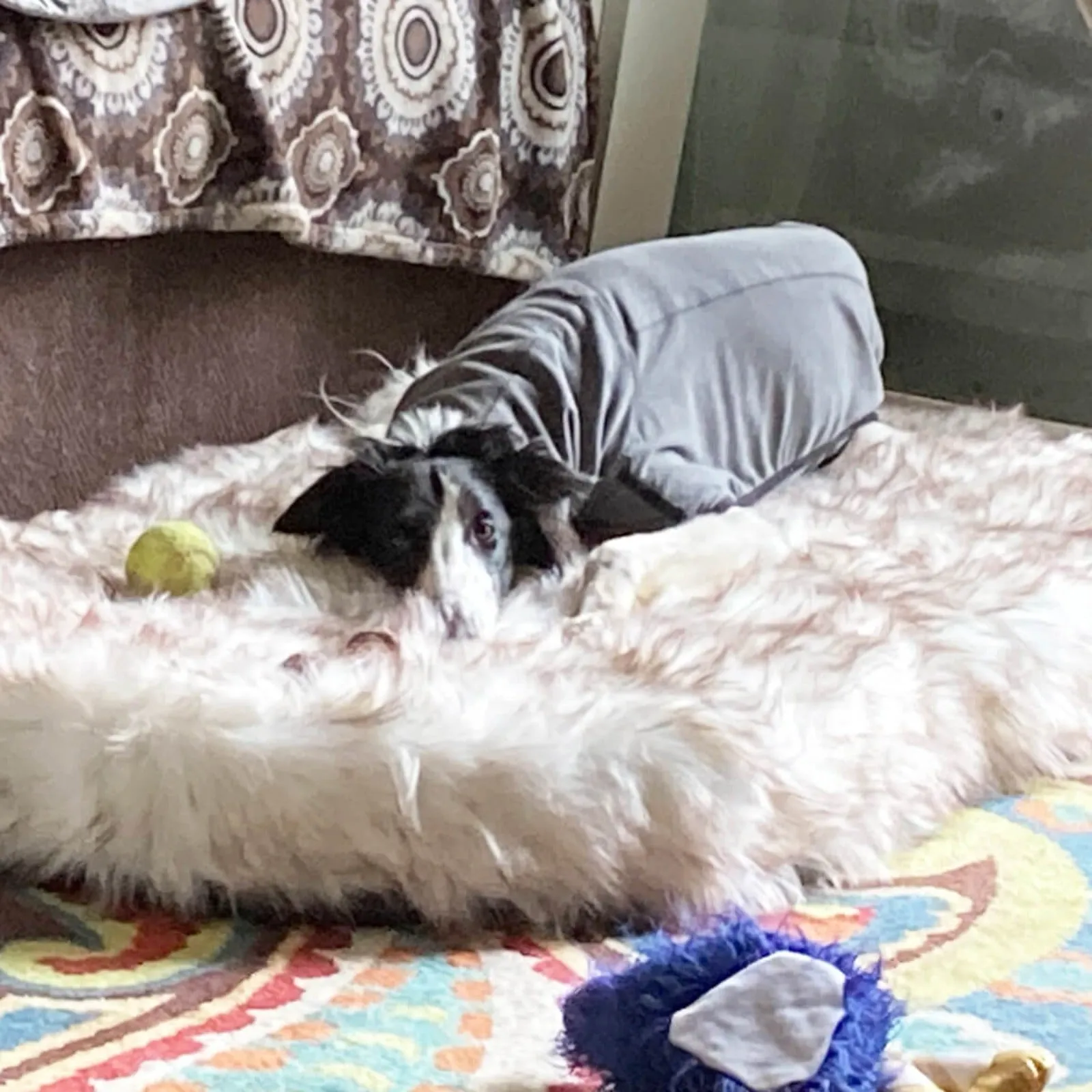 Laifug Faux Fur Dog Bed