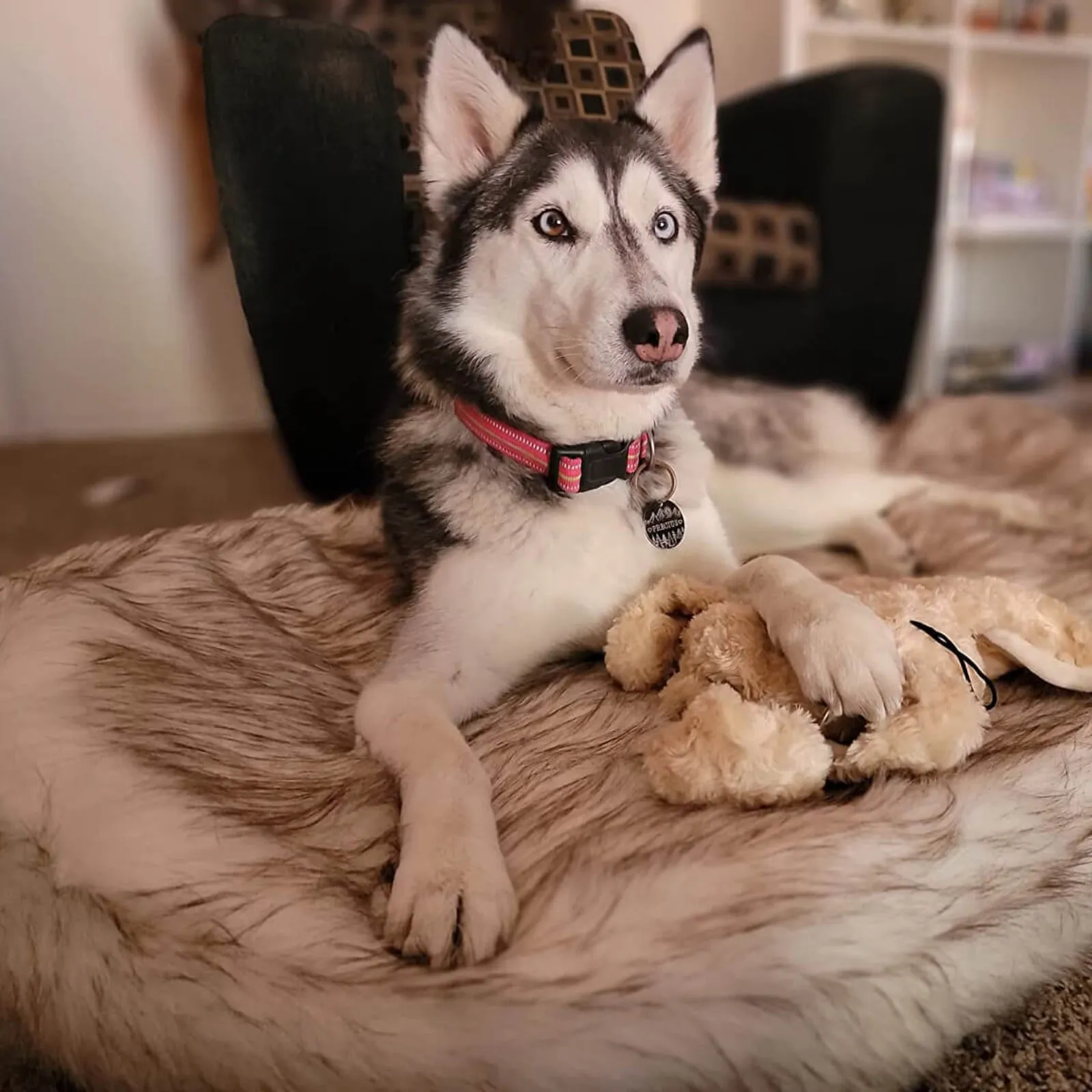 Laifug Faux Fur Dog Bed