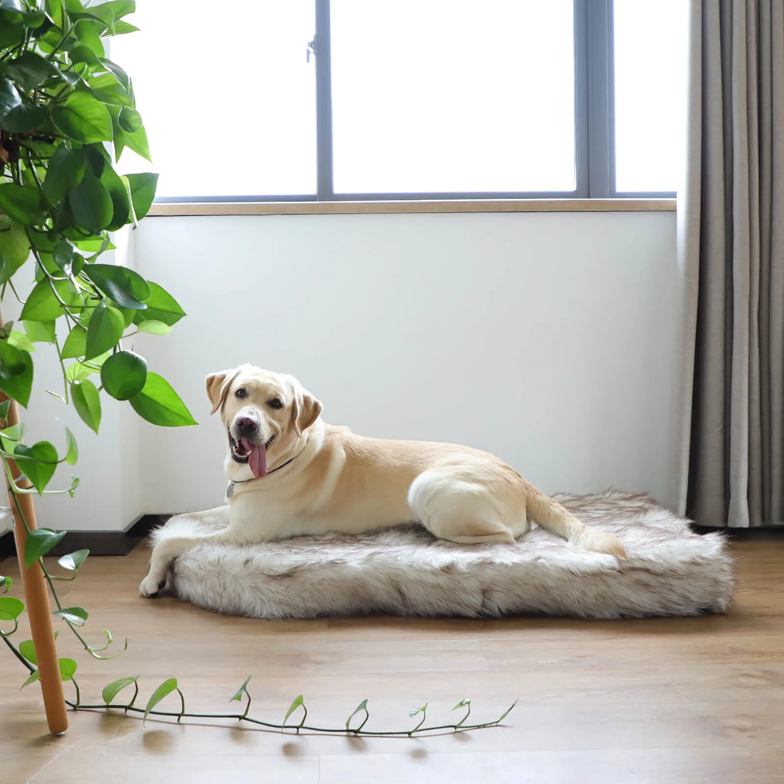 Laifug Faux Fur Dog Bed
