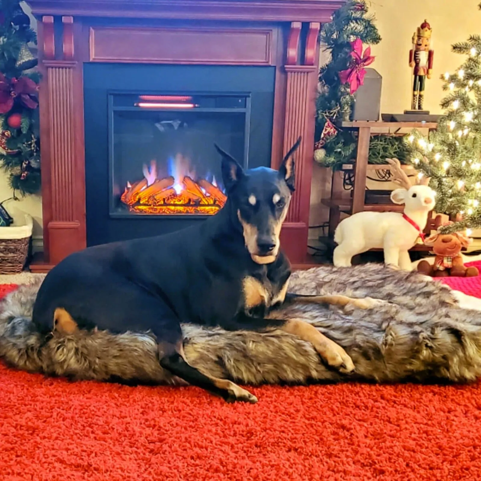 Laifug Faux Fur Dog Bed
