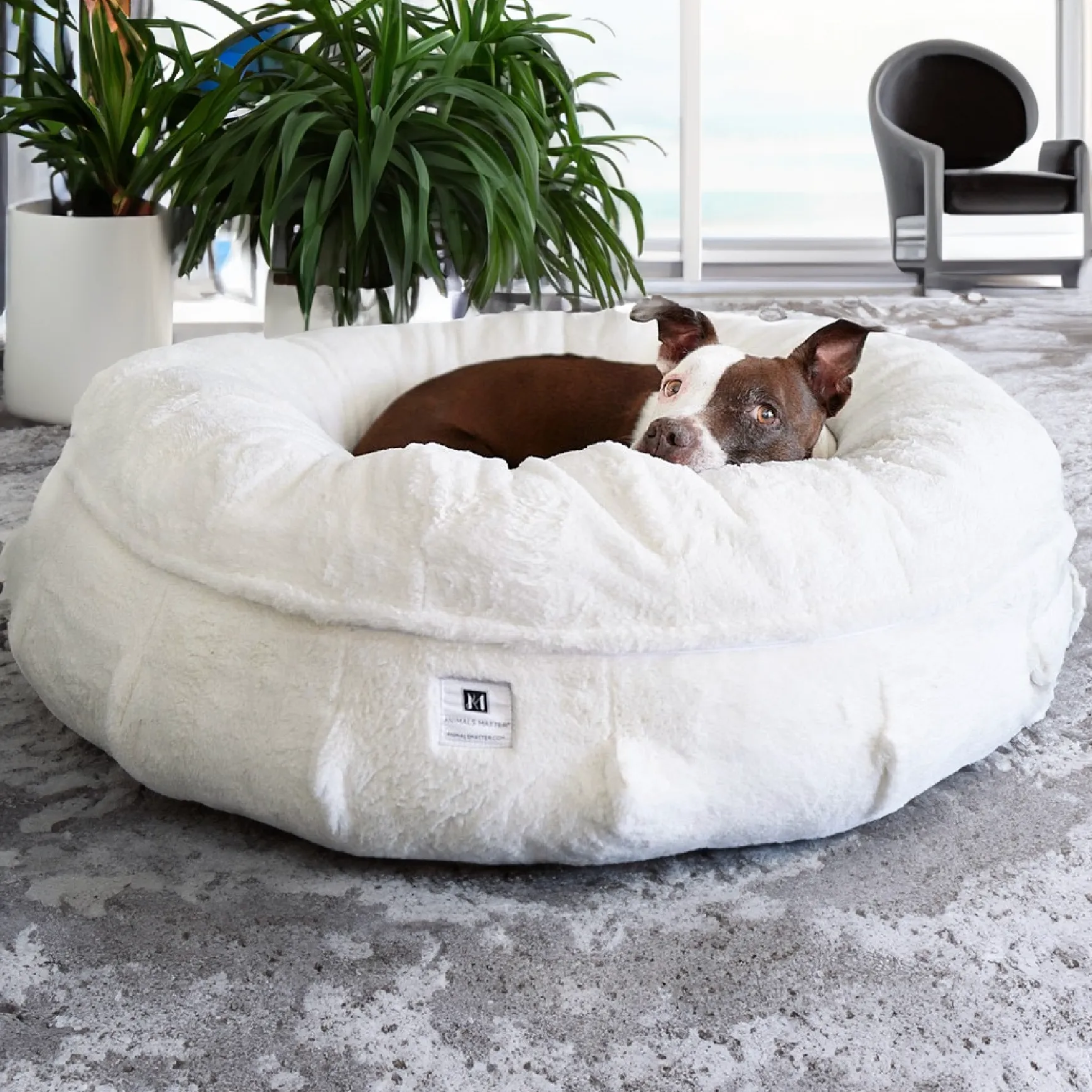 NEW: Raine Puff™ Ortho Companion-Pedic® Luxury Dog Bed