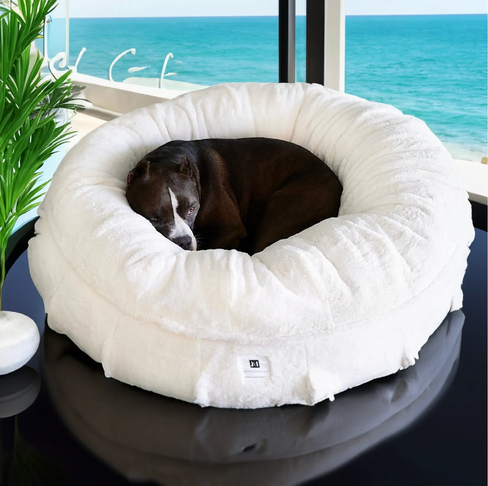 NEW: Raine Puff™ Ortho Companion-Pedic® Luxury Dog Bed