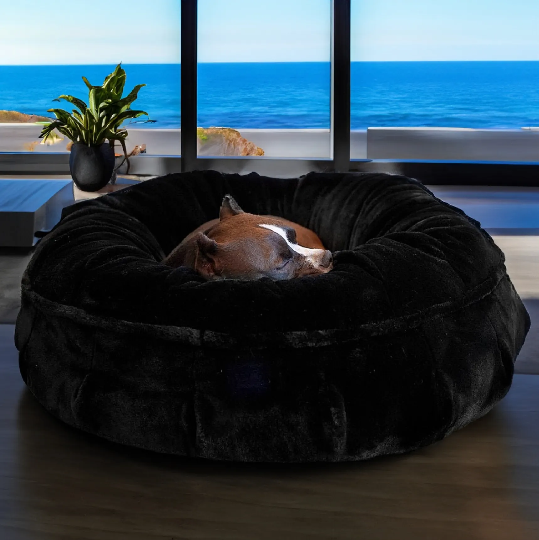 NEW: Raine Puff™ Ortho Companion-Pedic® Luxury Dog Bed