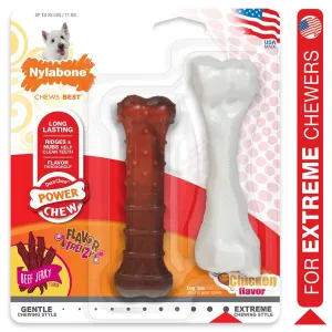 Nylabone Flavor Frenzy Twin Pack Beef Jerky / Chicken Regular