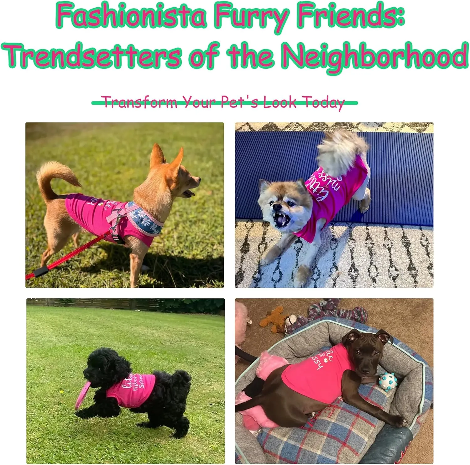 Paiaite Dog Clothes Fashionable Sleeveless Pet Vest: 'Little Miss Sassy' Printed Cotton Dog Shirt, Ideal for Small, Medium, and Large Breeds, Ensuring Comfort and Breathability Blue M