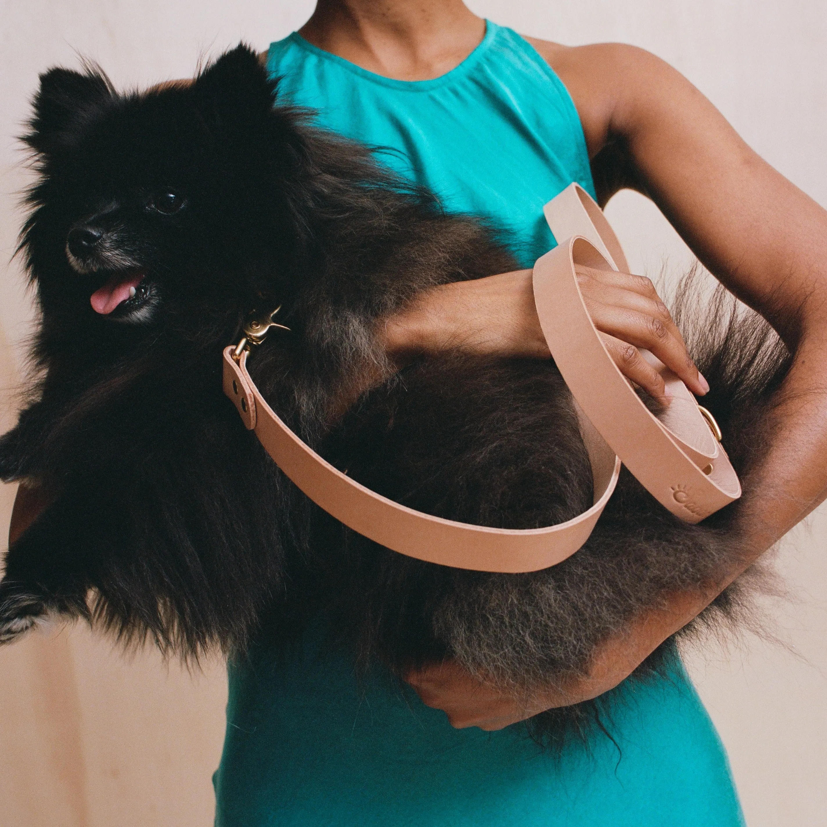 Pet Leash - Veg Tan