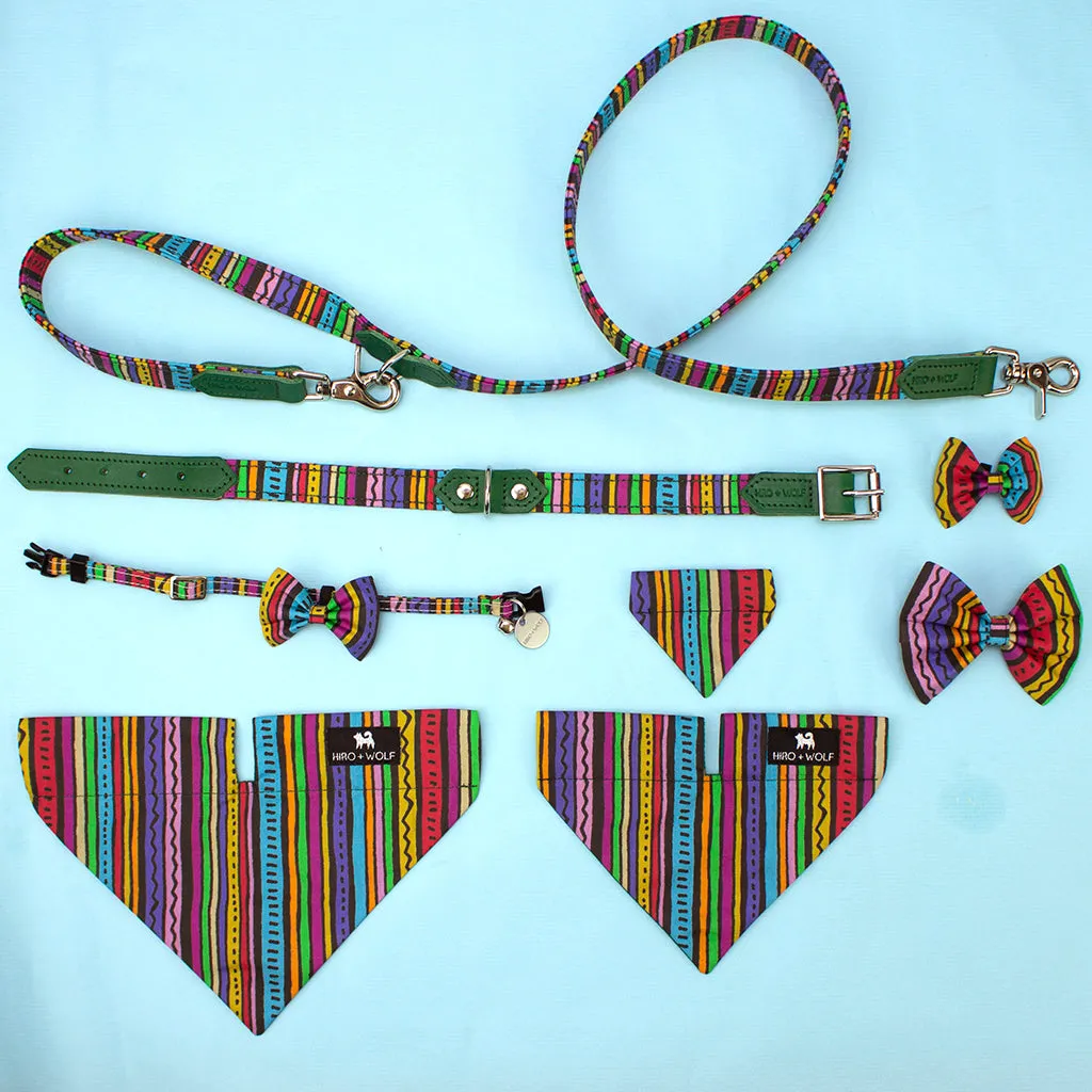 Rainbow Stripe Adjustable Dog Collar